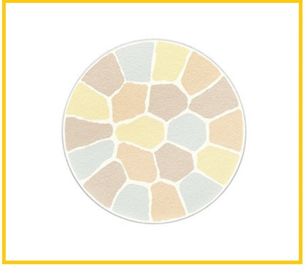 ALBION ELEGANCE 奧爾濱極緻定妝蜜粉餅 (便携裝) LA POUDRE HAUTE NUANCE FACE POWDER #3 / #4 8.8G