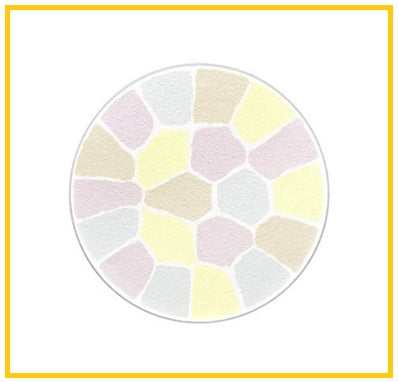 ALBION ELEGANCE 奧爾濱極緻定妝蜜粉餅 (便携裝) LA POUDRE HAUTE NUANCE FACE POWDER #3 / #4 8.8G