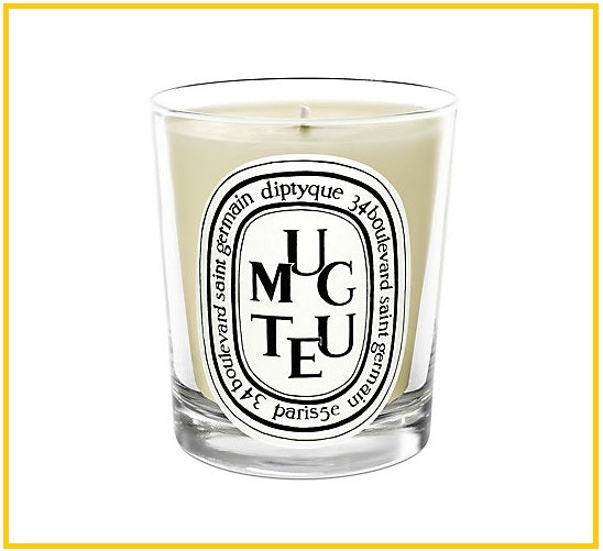 DIPTYQUE 蒂普提克鈴蘭香氛蠟燭 CANDLE MIMOSA 190G