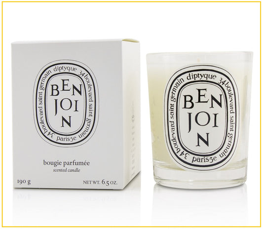 DIPTYQUE 蒂普提克香氛蠟燭安息香 STANDARD CANDLE BENJOIN 190G