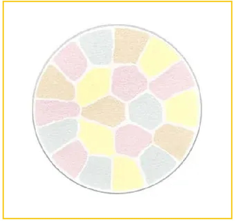 ALBION ELEGANCE 奧爾濱極緻定妝蜜粉餅便携裝(補充裝) LA POUDRE HAUTE NUANCE FACE POWDER #2 / #4 8.8G REFILL