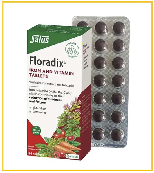 SALUS 莎露斯補鐵補血營養片紅鐵元片84片 IRON & VITAMIN TABLETS 84 TABLETS