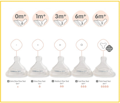 HEGEN Singapore Anti-Colic Smart Pacifier Slow-Flow 2-Pack Duo Set