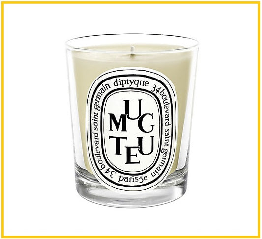 DIPTYQUE 蒂普提克鈴蘭香氛蠟燭 CANDLE MIMOSA 190G